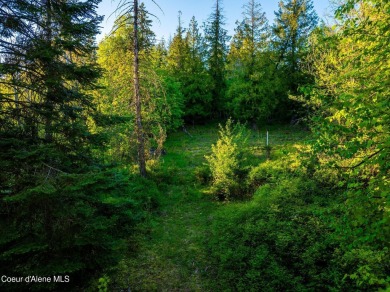 Discover Lot F10--an exceptional 0.9-acre opportunity in the on The Idaho Club in Idaho - for sale on GolfHomes.com, golf home, golf lot