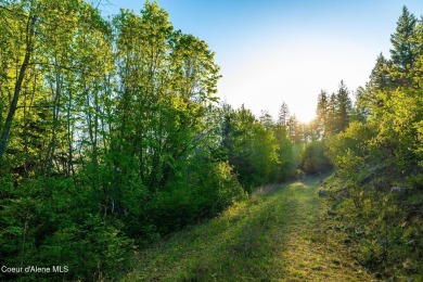 Discover Lot F10--an exceptional 0.9-acre opportunity in the on The Idaho Club in Idaho - for sale on GolfHomes.com, golf home, golf lot