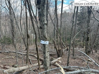 Convenient in town lot with seasonal view.  This lot lays out on Beech Mountain Club in North Carolina - for sale on GolfHomes.com, golf home, golf lot