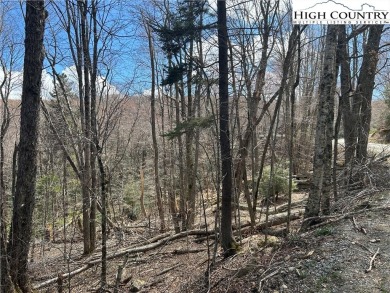 Convenient in town lot with seasonal view.  This lot lays out on Beech Mountain Club in North Carolina - for sale on GolfHomes.com, golf home, golf lot
