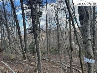Convenient in town lot with seasonal view.  This lot lays out on Beech Mountain Club in North Carolina - for sale on GolfHomes.com, golf home, golf lot