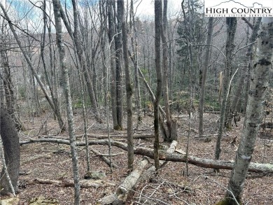 Convenient in town lot with seasonal view.  This lot lays out on Beech Mountain Club in North Carolina - for sale on GolfHomes.com, golf home, golf lot