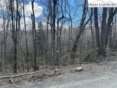 Convenient in town lot with seasonal view.  This lot lays out on Beech Mountain Club in North Carolina - for sale on GolfHomes.com, golf home, golf lot