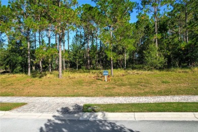 Owner Financing is available, call for more details.  Don't miss on Bella Collina Golf Club in Florida - for sale on GolfHomes.com, golf home, golf lot