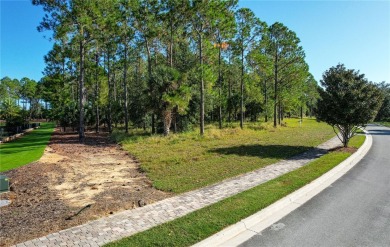 Owner Financing is available, call for more details.  Don't miss on Bella Collina Golf Club in Florida - for sale on GolfHomes.com, golf home, golf lot