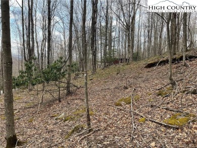 Discover your slice of mountain paradise with this beautiful 0 on Beech Mountain Club in North Carolina - for sale on GolfHomes.com, golf home, golf lot