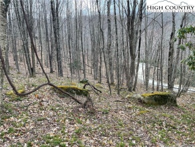 Discover your slice of mountain paradise with this beautiful 0 on Beech Mountain Club in North Carolina - for sale on GolfHomes.com, golf home, golf lot