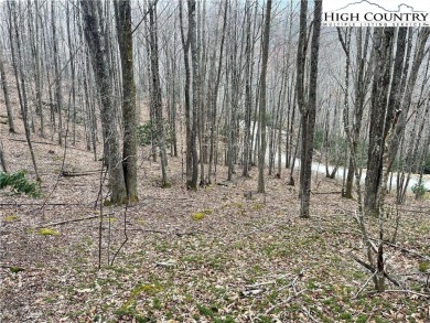 Discover your slice of mountain paradise with this beautiful 0 on Beech Mountain Club in North Carolina - for sale on GolfHomes.com, golf home, golf lot