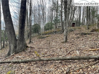 Discover your slice of mountain paradise with this beautiful 0 on Beech Mountain Club in North Carolina - for sale on GolfHomes.com, golf home, golf lot