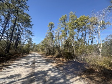 0.259 Acres | Boiling Spring Lakes | Brunswick County, NC on The Lakes Country Club in North Carolina - for sale on GolfHomes.com, golf home, golf lot
