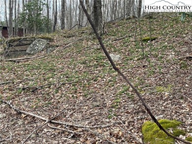 Discover your slice of mountain paradise with this beautiful 0 on Beech Mountain Club in North Carolina - for sale on GolfHomes.com, golf home, golf lot