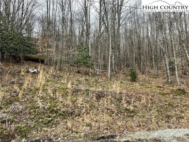 Discover your slice of mountain paradise with this beautiful 0 on Beech Mountain Club in North Carolina - for sale on GolfHomes.com, golf home, golf lot