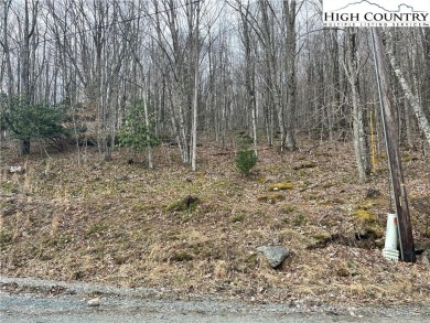 Discover your slice of mountain paradise with this beautiful 0 on Beech Mountain Club in North Carolina - for sale on GolfHomes.com, golf home, golf lot