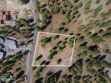 Exceptional Buildable Lot at Clear Creek Tahoe. Protected within on Clear Creek Tahoe in Nevada - for sale on GolfHomes.com, golf home, golf lot