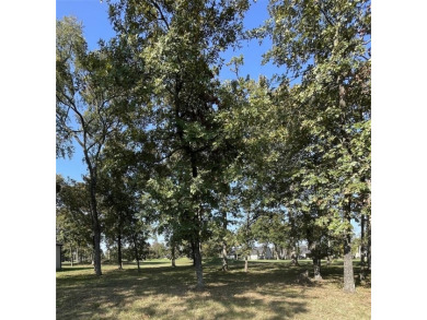 Discover the perfect canvas for your dream home on this stunning on Pinnacle Golf and Boat Club in Texas - for sale on GolfHomes.com, golf home, golf lot