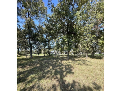 Discover the perfect canvas for your dream home on this stunning on Pinnacle Golf and Boat Club in Texas - for sale on GolfHomes.com, golf home, golf lot