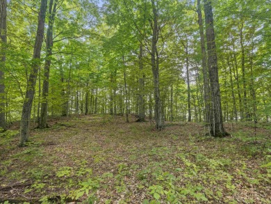 Seize the opportunity to create your perfect home on a stunning on Champion Hill Golf Club in Michigan - for sale on GolfHomes.com, golf home, golf lot