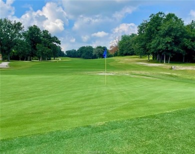 Wow!  Hard to find a mid-century modern-inspired home on a on Hilltop Lakes Resort Golf Club in Texas - for sale on GolfHomes.com, golf home, golf lot