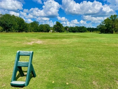 Wow!  Hard to find a mid-century modern-inspired home on a on Hilltop Lakes Resort Golf Club in Texas - for sale on GolfHomes.com, golf home, golf lot