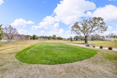 READY TO MOVE IN! ABSOLUTELY STUNNING! This beautifully on On Top Of The World Golf Course in Florida - for sale on GolfHomes.com, golf home, golf lot
