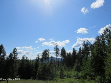 A Gozzer Ranch Golf and Lake Club Lot. Amenities include a Tom on Gozzer Ranch Golf and Lake Club in Idaho - for sale on GolfHomes.com, golf home, golf lot