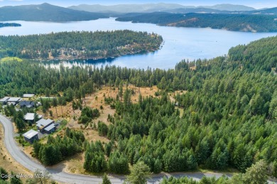 A Gozzer Ranch Golf and Lake Club Lot. Amenities include a Tom on Gozzer Ranch Golf and Lake Club in Idaho - for sale on GolfHomes.com, golf home, golf lot