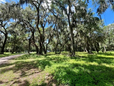 Gorgeous Lot on the Golf Course in Sutherland Bluff! Views of on Sapelo Hammock Golf Club in Georgia - for sale on GolfHomes.com, golf home, golf lot