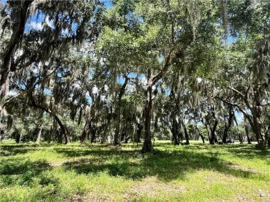 Gorgeous Lot on the Golf Course in Sutherland Bluff! Views of on Sapelo Hammock Golf Club in Georgia - for sale on GolfHomes.com, golf home, golf lot