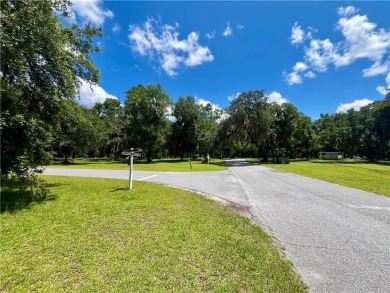 Gorgeous Lot on the Golf Course in Sutherland Bluff! Views of on Sapelo Hammock Golf Club in Georgia - for sale on GolfHomes.com, golf home, golf lot