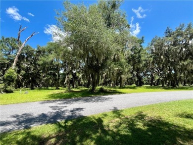 Gorgeous Lot on the Golf Course in Sutherland Bluff! Views of on Sapelo Hammock Golf Club in Georgia - for sale on GolfHomes.com, golf home, golf lot
