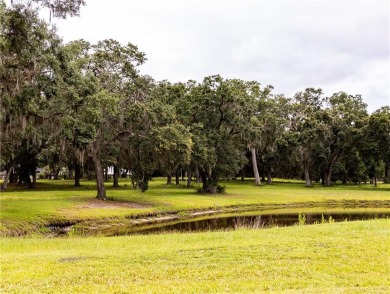 Welcome to Cooper's Point a well appointed community along the on Sapelo Hammock Golf Club in Georgia - for sale on GolfHomes.com, golf home, golf lot