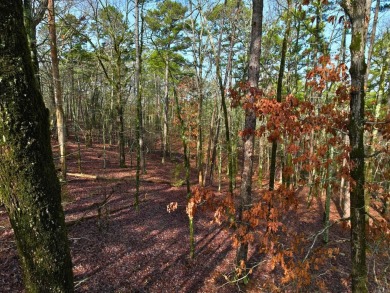 Great Opportunity Across from Ponce Golf Course near the on Ponce De Leon Golf Course in Arkansas - for sale on GolfHomes.com, golf home, golf lot