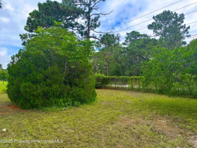 Welcome to this breathtaking, open-concept Modern home built on Brookridge Country Club in Florida - for sale on GolfHomes.com, golf home, golf lot