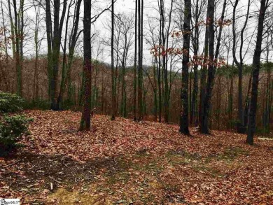 Nestled in the mountains just minutes from Greenville, SC, make on The Cliffs Valley Golf Course in South Carolina - for sale on GolfHomes.com, golf home, golf lot