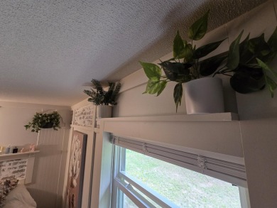 TIRED OF SKY-HIGH RENT? SAY HELLO TO YOUR AFFORDABLE ESCAPE! on Lakes of the North Deer Run Golf Course in Michigan - for sale on GolfHomes.com, golf home, golf lot
