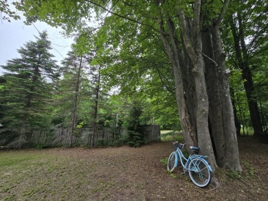TIRED OF SKY-HIGH RENT? SAY HELLO TO YOUR AFFORDABLE ESCAPE! on Lakes of the North Deer Run Golf Course in Michigan - for sale on GolfHomes.com, golf home, golf lot