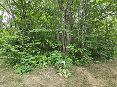 TIRED OF SKY-HIGH RENT? SAY HELLO TO YOUR AFFORDABLE ESCAPE! on Lakes of the North Deer Run Golf Course in Michigan - for sale on GolfHomes.com, golf home, golf lot