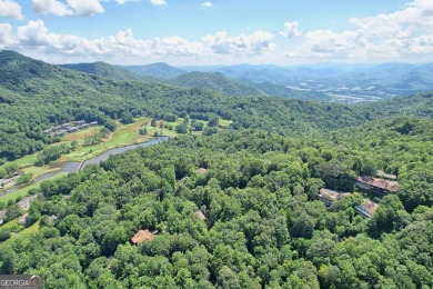 This large 4-bedroom, 3-bedroom home is waiting for new owners on Sky Valley Resort and Country Club in Georgia - for sale on GolfHomes.com, golf home, golf lot