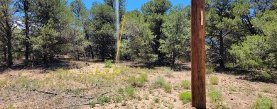 A corner lot, with views of the Majestic Spanish Peaks and 3.59 on Walsenburg Golf Club in Colorado - for sale on GolfHomes.com, golf home, golf lot
