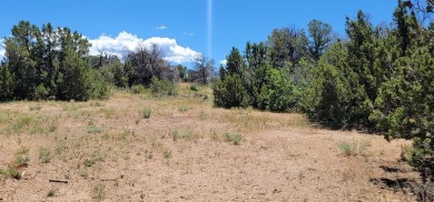 A corner lot, with views of the Majestic Spanish Peaks and 3.59 on Walsenburg Golf Club in Colorado - for sale on GolfHomes.com, golf home, golf lot