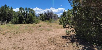 A corner lot, with views of the Majestic Spanish Peaks and 3.59 on Walsenburg Golf Club in Colorado - for sale on GolfHomes.com, golf home, golf lot