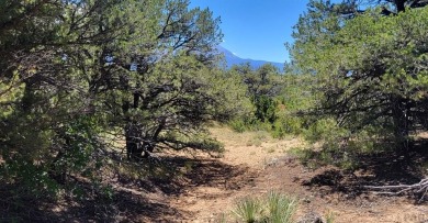 A corner lot, with views of the Majestic Spanish Peaks and 3.59 on Walsenburg Golf Club in Colorado - for sale on GolfHomes.com, golf home, golf lot