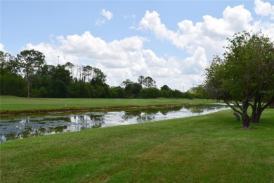 Located in the desirable Tampa Bay Golf & Country Club community on Tampa Bay Golf and Country Club in Florida - for sale on GolfHomes.com, golf home, golf lot