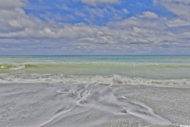 Amazing 1-bedroom, 1-bathroom TURNKEY condo in Wedgewood at on Barefoot Resort and Golf Club  in South Carolina - for sale on GolfHomes.com, golf home, golf lot