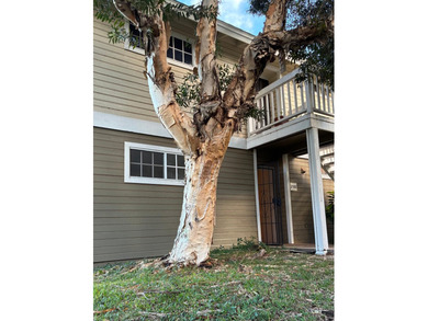 Welcome to Elima Lani in Waikoloa Village. This recently on Waikoloa Village Golf Club in Hawaii - for sale on GolfHomes.com, golf home, golf lot