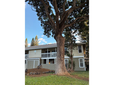 Welcome to Elima Lani in Waikoloa Village. This recently on Waikoloa Village Golf Club in Hawaii - for sale on GolfHomes.com, golf home, golf lot