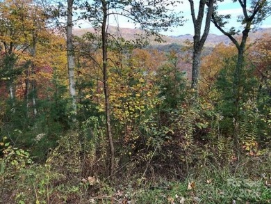 Build your dream home on this desirable 1.28-acre lot offering on Black Mountain Golf Course in North Carolina - for sale on GolfHomes.com, golf home, golf lot