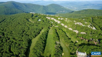 Welcome to 793 Laurelwood in Wintergreen! This charming, top on Devils Knob in Virginia - for sale on GolfHomes.com, golf home, golf lot