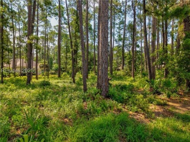 Fabulous Opportunity! One of the last remaining homesites in all on Palmetto Hall Golf Course in South Carolina - for sale on GolfHomes.com, golf home, golf lot