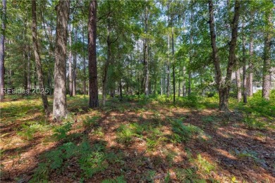 Fabulous Opportunity! One of the last remaining homesites in all on Palmetto Hall Golf Course in South Carolina - for sale on GolfHomes.com, golf home, golf lot